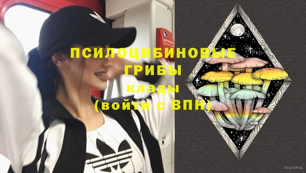 МДПВ Абаза