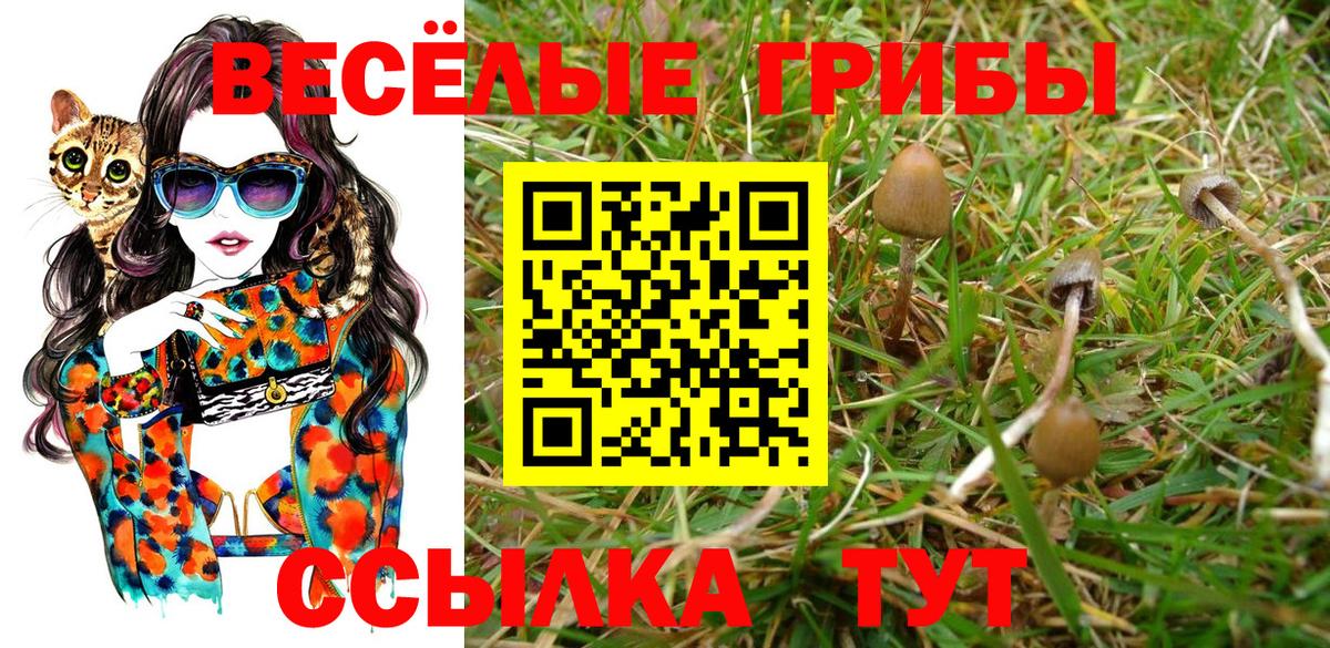 Галлюциногенные грибы ЛСД  Вход с VPN  купить наркотики сайты  Донецк 